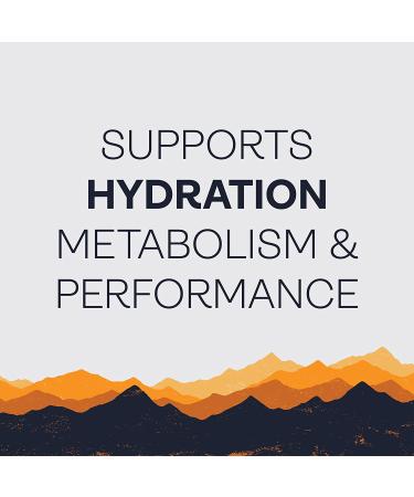 Gnarly Nutrition Hydrate Electrolyte Powder - Ruby Red Grapefruit Flavor | B Vitamins & Trace Minerals | 40 Servings - Buy Online on GoSupps.com