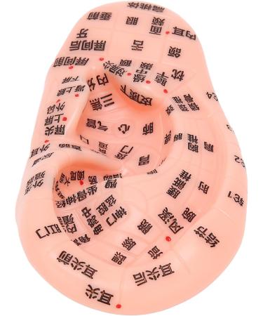 13 cm Ear Acupuncture Model | Ear Zone Pressure Point Learning Tool | International Shipping Available - Buy Online on GoSupps.com
