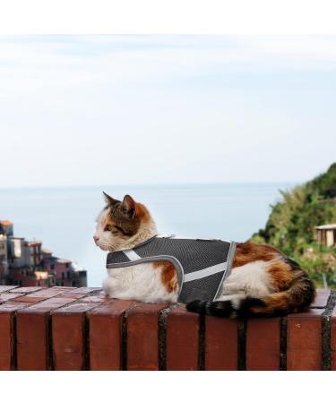Premium Cat Dishes with Leash - Outbreak-Proof Set with Reflective Harness for Kittens - Gray Small - Buy Online on GoSupps.com