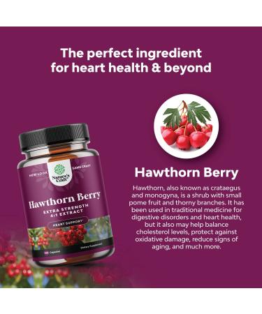 Extra Strength Hawthorn Berry Capsules - 1330mg 4:1 Extract Heart Health Supplement | High Pressure & Cholesterol Support | Non-GMO Polyphenol Formula for Men & Women - Buy Online on GoSupps.com
