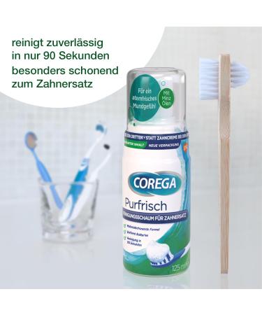 Wellsamed Savings Set - Denture Brush & COREGA Purfrisch Cleaning Foam (Bamboo) | International Shipping - Buy Online on GoSupps.com