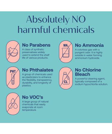 Home Starter Kit | Natural Plant-Based Cleaning Products | Eco-Friendly All-Purpose Cleaner Tablets | Chemical-Free Household Cleaners - Buy Online on GoSupps.com