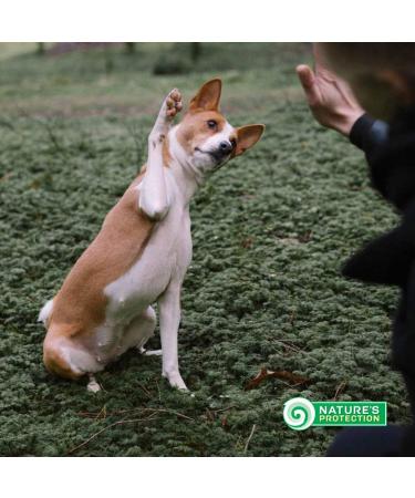 Nature's Protection Hypoallergenic Grain-Free Dry Dog Food - Salmon for Small & Mini Breeds - 1.5kg - Buy Online on GoSupps.com