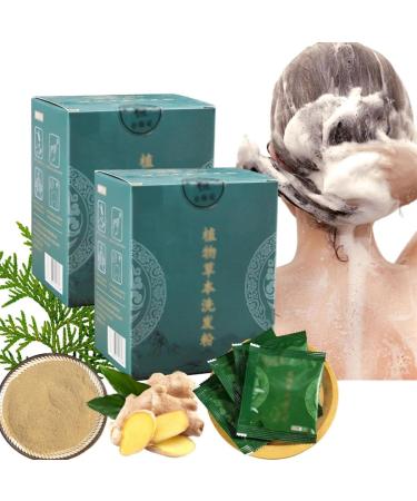 Shampoing capillaire en poudre aux plantes et aux herbes nettoyant doux bio pour cheveux lisses et purifiants pour hommes et femmes 2pc