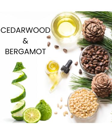 Moisturizing Body Wash for Dry Sensitive Skin - Hydrate Nourish & Gentle Cleanse | Sulfate-Free Light Fragrance - 16 fl oz - Shop Internationally - Buy Online on GoSupps.com