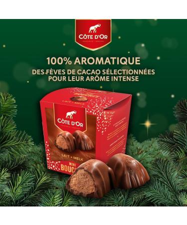 C TE D'OR - Mini Bouch e Lait - Milk Chocolate Filled with Hazelnuts and Almonds - Christmas Chocolates - Box to Share or Give - Box of Approximately 21 Mini Bouch es - 1 Box of 197 g - Buy Online on GoSupps.com
