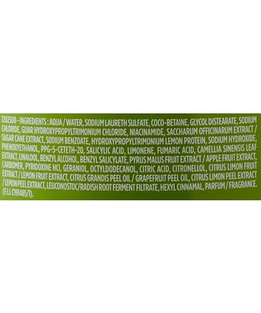 Garnier Fructis Shampoo Strength and Gloss Shampoo 2-in-1 360 ml - Buy Online on GoSupps.com