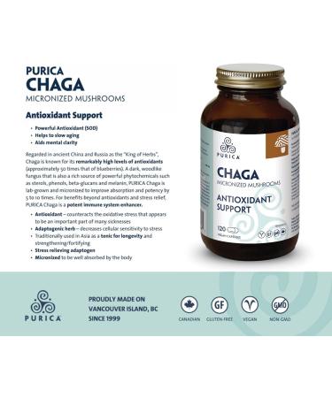 PURICA Chaga Mushroom Capsules 120 Count - Premium Mushroom Supplements for Men's Well-being 120 count (Pack of 1) - Buy Online on GoSupps.com