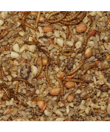 Paul's Mill Premium All-Year Wild Bird Feed - High Fat Content 10kg Pack for Year-Round Feeding - Buy Online on GoSupps.com