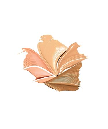 Conceal + Perfect All-in-One Palette - Medium to Dark | 1 Count - Buy Online on GoSupps.com