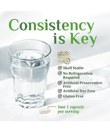 Probiotics 100 Billion CFU - 16 Premium Strains + Prebiotics - Best Probiotic Supplement for Women & Men - Supports Immune & Digestive Health & Occasional Constipation - Bottled in USA - 30 Capsules 30 Count (Pack of 1) - Buy Online on GoSupps.com