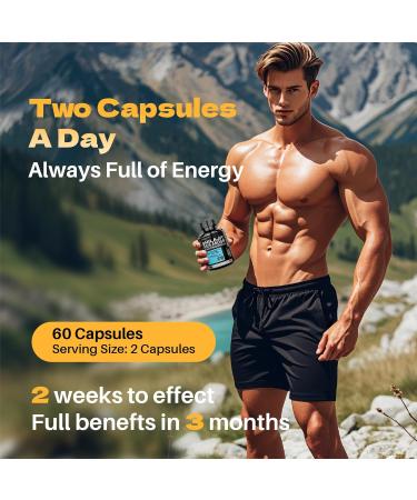 MEGNETA Shilajit for Men with Sea Moss Ashwagandha & L-Arginine Boosts Energy 60 Capsules - Buy Online on GoSupps.com