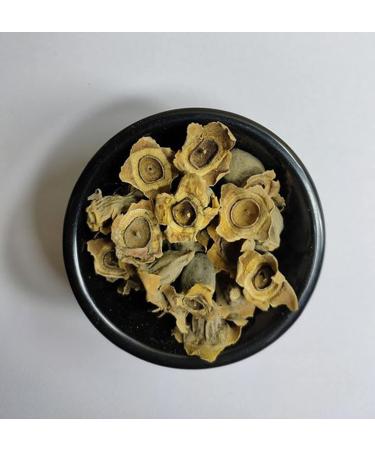 Bay Khumba-Careya Arborea-Raw Herbs-Vakumbha-Kumbhi-Baikhumba-Single Herbs-Jadi Booti (100 Gram) 100 g (Pack of 1)