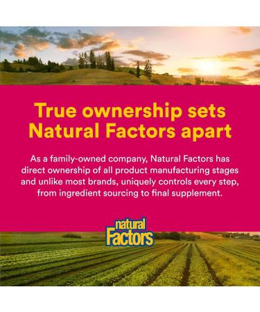 Natural factors Easy Iron chewables 20mg 60 tabs (Multi-Pack) 60 Count (Pack of 1) - Buy Online on GoSupps.com