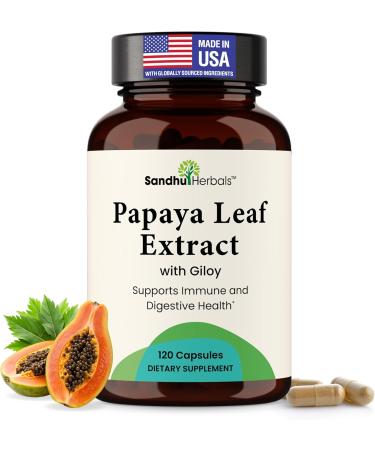 SANDHUHERBALS Magnesium Complex 6-in-1 Bundle with Papaya Leaf Extract Capsules (120 Count Each) | for Men & Women - Buy Online on GoSupps.com