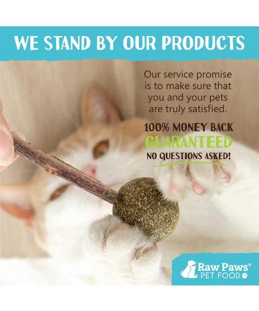 Raw Paws Catnip Lollipop (6-Pack) - Catnip Toys for Indoor Cats - Catnip Ball, Silvervine & Matatabi Stick for Cats - Buy Online on GoSupps.com