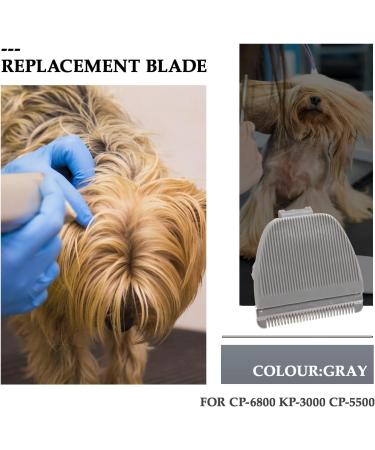 dieyyuca Hair Clipper Replacement Blade for CP-6800 KP-3000 CP-5500 - Buy Online on GoSupps.com