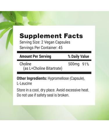 Nested Naturals Choline Bitartrate 500mg - High Potency Choline Supplements - Supports Maternal & Fetal Health During Pregnancy* - 100% Vegan & Non-GMO - 2-Pack (180 Vegan Capsules) 90 Count (Pack of 2) - Buy Online on GoSupps.com