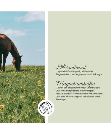 Annimally Eczema Cream Plus 500ml - Relief for Horses' Eczema Rash Mauke & Itching with D-Panthenol & Chamomile Oil - Buy Online on GoSupps.com
