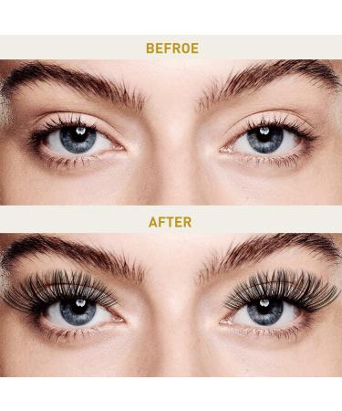 Buy BQ Lash Single Eyelash Clusters - Colored DIY Lashes for Home Extensions | B10 B02 B09 Black Eyelashes - 72 Clusters - Buy Online on GoSupps.com