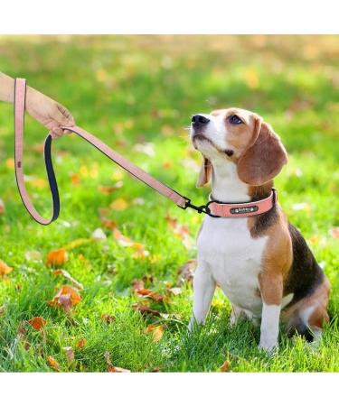 Didog Soft Padded Leather Dog Collar with Custom Engraved Name Tag - Pink Set for Small & Medium Dogs (S: 25-30 cm) - Buy Online on GoSupps.com