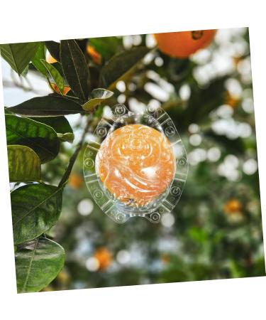 KONTONTY Fruit Shaper Vegetable Shaped Growth Fruitful to Play with Vegetable Fruit Shaping - Buy Online on GoSupps.com