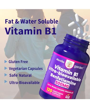 NoMiLu 500mg Benfotiamine Thiamine Vitamin B1 Ultra bioavailable Vitamin B1- Fat & Water Soluble Thiamine B1 120 Vegetarian Capsules high Potency Gluten Free Made in USA cGMP Facility - Buy Online on GoSupps.com