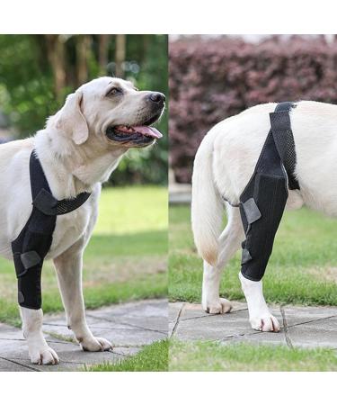 Dog Leg Support Brace - Hip Support for Dogs - Back Leg Hip Support with Metal Strip High Elasticity Breathable Leg Protector for Recovery Period Black Medium - Buy Online on GoSupps.com