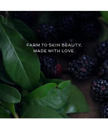 Farmstead Apothecary Organic Boysenberry Vanilla Lip Balm - 100% Natural with Beeswax, Shea Butter, & Coconut Oil (0.2oz, Pack of 2) - Buy Online on GoSupps.com