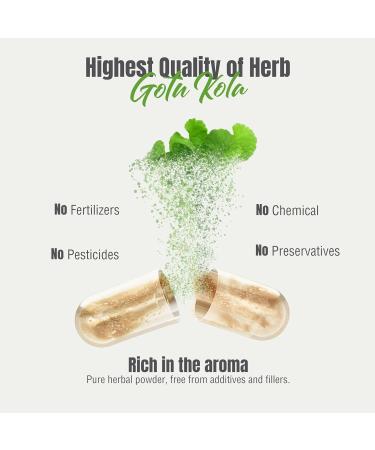 Herbsforever Gotu Kola (Centella Asiatica)-Extra Strength(10:1) Extract Equiv. to 4300 mg Leaves & Plant Powder Per Serving Support Cognitive Memory Focus Calm Skin |60Veg Capsules|800mg|Adaptogen - Buy Online on GoSupps.com