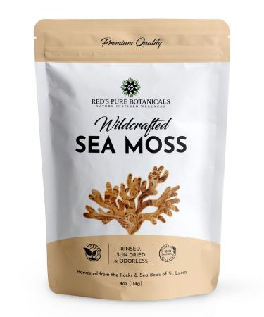 Sea Moss | Irish Sea Moss | Premium Quality | Raw & Wildcrafted from Rocks & Sea Beds of St. Lucia | 4oz Dry Makes 60-80oz Seamoss Gel | 100% Natural | Dr. Sebi