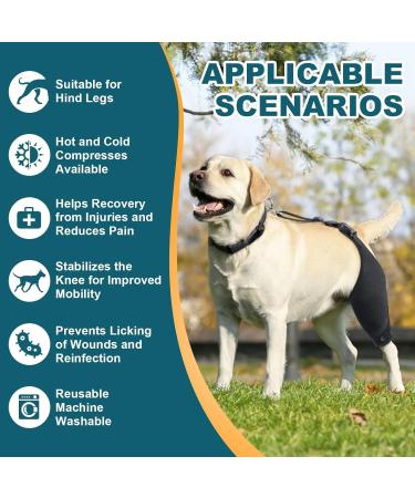 Dog Knee Brace for Torn Hind Leg or Back Leg Adjustable Pet Dog Rear Leg Bracer Support for Joint Pain Muscle Sore Knee Cap Dislocation Black for Injury Arthritis ACL Pain Relief(XX-Large) - Buy Online on GoSupps.com