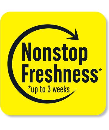 Renuzit Forever Raspberry Air Freshener 12-Pack - Buy Online on GoSupps.com