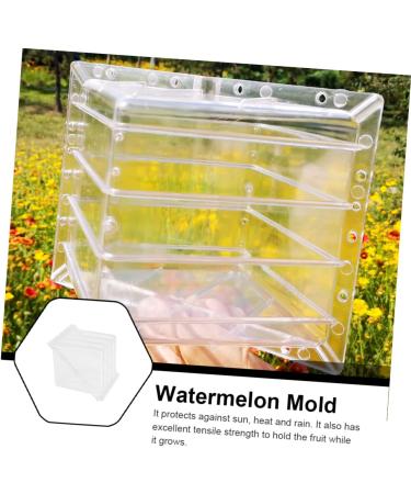 OSALADI Tools Pumpkin Watermelon Shaping Mold Fruit Forming Mold Vegetable Stereotypes Gardening Supplies 15x15cm Transparent - Buy Online on GoSupps.com