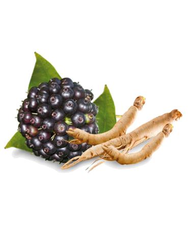 Menopause Herbal Tea - Caffeine Free - Hormonal Balance & Hot Flashes Relief - 28 Days Supply - Black Cohosh, Gingko, Red Clover & More - Menopause Support Tea - Buy Online on GoSupps.com