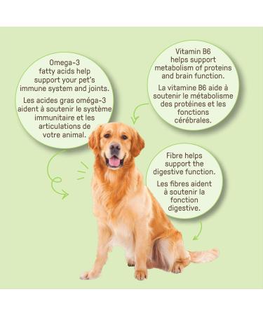 Cookie PAL Dog Treats with Pumpkin & Chia Human Grade USDA Organic Dog Treats Crunchy Dog Training Treats 300g (Pk of 3) Pumpkin & Chia Seed 300 g (Pack of 3) - Buy Online on GoSupps.com