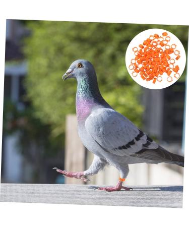 VILLFUL 100 Pcs Pigeon Anklet Numbered Pigeon Deterrent Sound Clips Drumstick Chicken Foot Ring Plastic 1.3X1.3CM Orange - Buy Online on GoSupps.com