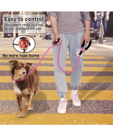 PLUTUS PET Dog Slip Lead Anti-Choking 6ft Pink - Reflective Two Handles Heavy Duty Training Lead for Medium Large Dogs - Buy Online on GoSupps.com