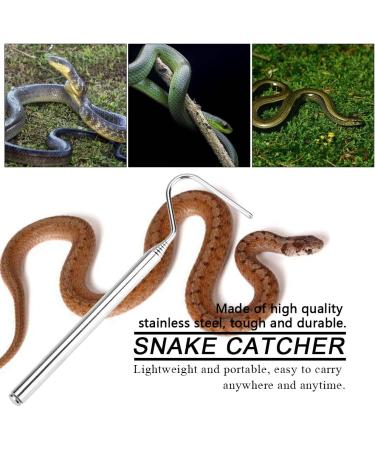 Stainless Steel Snake Hook - Extendable 16.5-68cm - Reptile Catcher Tool for Controlling and Moving Snakes - Buy Online on GoSupps.com