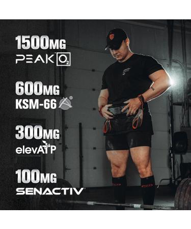 Jacked Factory N.O. XT Nitric Oxide Supplement (90 Count) & Build XT Max Elite Muscle Builder (120 Count) - Buy Online on GoSupps.com