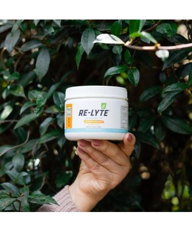 REDMOND Re-Lyte Immunity Multivitamin Supplement Mix (Pinapple Orange) Pineapple Orange - Buy Online on GoSupps.com