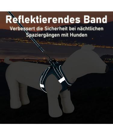 Uvtqssp Dog Harness & Leash for Small Dogs | Padded Comfort | Puppy Dishes | Indigo Blue XXS - Buy Online on GoSupps.com