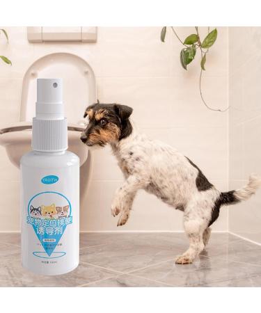 Go Here Attractant Spray for Dogs -Puppy Training Spray with Attractive Scent | Dog Anti Pee & Attractant Spray 100ml for Indoor & Outdoor Use Pet-Friendly - Buy Online on GoSupps.com