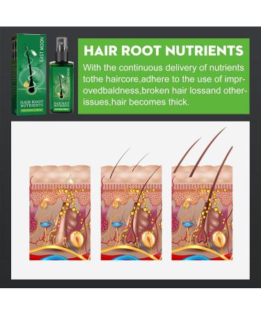 Wild Hair Oil 120 ml hair thickening spray for fuller thicker blacker hair Fast acting hair growth serums hair growth oil Eubeisaqi - Buy Online on GoSupps.com