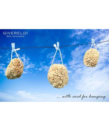 Givereldi Power Exfoliator Natural Sea Sponge - Strong Durable Unbleached Pouf and Scrub with Rope - 100% Organic & Hypoallergenic - Adult Bath Shower Exfoliating Art Pets Gift (Small) 11 cm - Buy Online on GoSupps.com