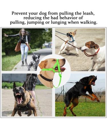 Dog Handlebars for Medium & Large Dogs - Soft Upholstery Durable Halter Training Instructions - L (17.8 - 35.6 cm) Green Nylon/Black Padding - Buy Online on GoSupps.com