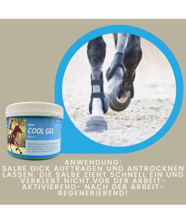acetic clay horse clay + refreshing horse balm I gel arnica ointment mineral clay I clay cooling paste I gel + horse ointment I gel muscles tendons joints 1.5 kg 500 ml - Buy Online on GoSupps.com