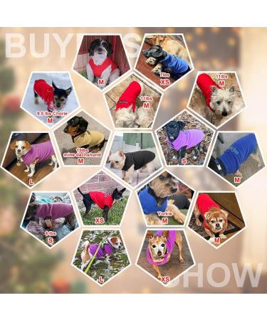 BEAUTYZOO Dog Fleece Vest Sweater Winter Jacket with D-Ring Leash - Purple | XS S M Dogs - Buy Online on GoSupps.com