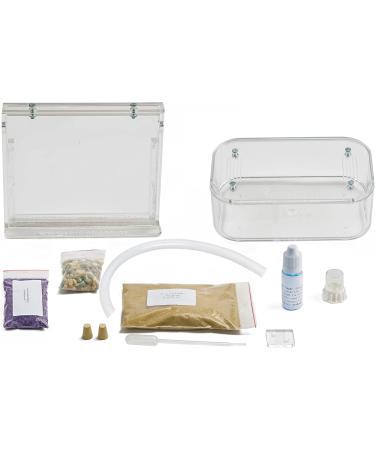 AntHouse - Natural Sand Anthill | Basic Kit (Sandwich + Drilling Box) | Ants Included - Buy Online on GoSupps.com