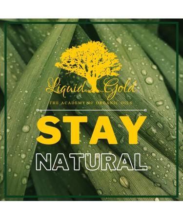 Liquid Gold Inc 32 Fl.oz Arnica Herbal Oil 100% Pure & Organic for Skin Hair and Health Care - Buy Online on GoSupps.com